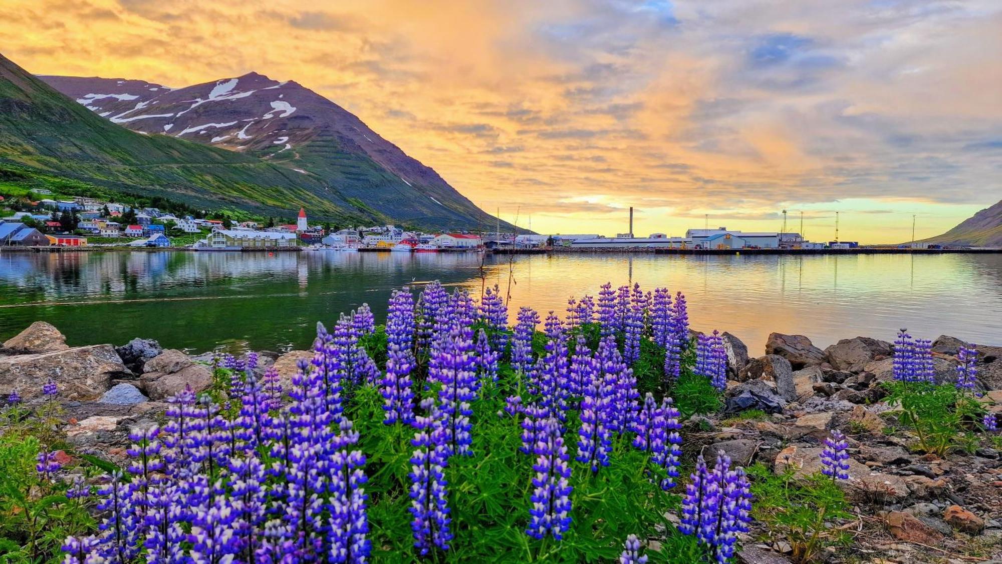 Landakot The Perfect Getaway By Staynorth Siglufjordur Extérieur photo